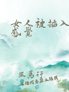 女人被插入后的感觉
