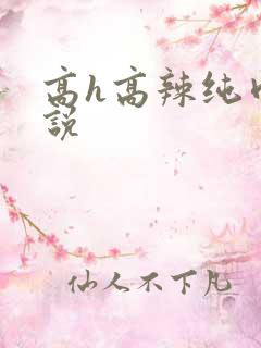 高h高辣纯肉小说