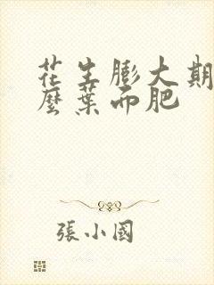 花生膨大期用什么叶面肥 花生膨大期用什么叶面肥
