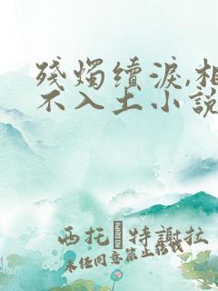 残烛续泪,相思不入土小说免费阅读