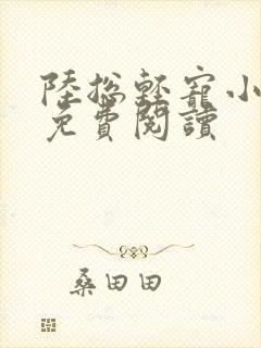 陆总轻宠小甜妻免费阅读