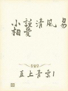 小说清风易散难相爱