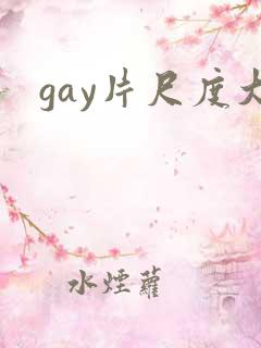 gay片尺度大