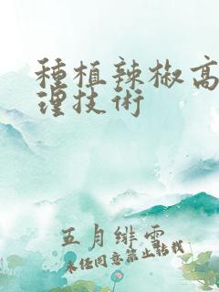 种植辣椒高产管理技术