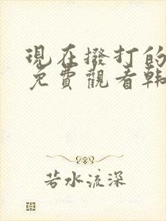 现在拨打的电话免费观看韩剧全集