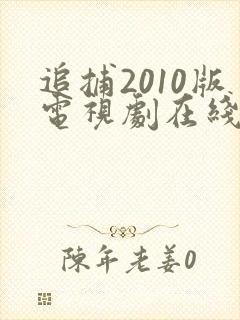 追捕2010版电视剧在线观看