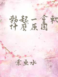 勃起一会软了是什么原因