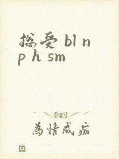 总受 bl np h sm