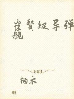 崔贤级导弹驱逐舰