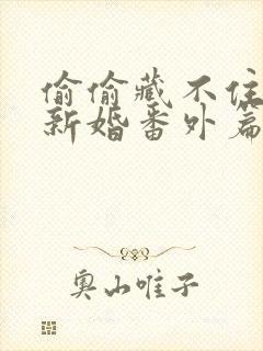 偷偷藏不住番外新婚番外篇
