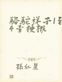 骆驼祥子1到24章梗概