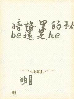 暗格里的秘密是be还是he