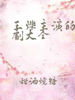 王烁主演的电视剧大全