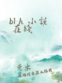 bl h 小说 在线