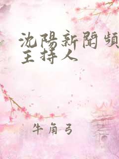 沈阳新闻频道男主持人