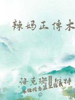 辣妈正传木子