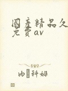 国产精品久久久免费av