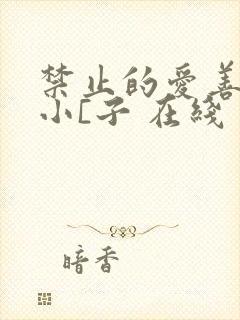 禁止的爱善良的小[子 在线 禁止的爱善良的小[子 在线