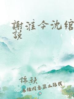 谢淮今沈绾宁小说 谢淮今沈绾宁小说