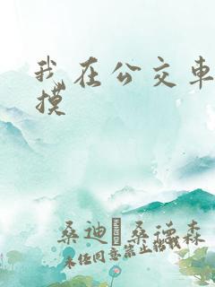 我在公交车上被摸