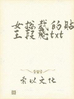 女总裁的贴身兵王段飞txt