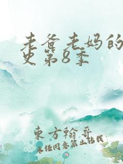 老爸老妈的浪漫史第8季