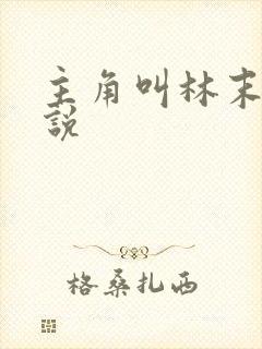 主角叫林末的小说