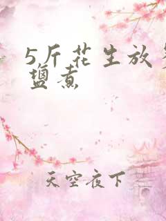 5斤花生放多少盐煮