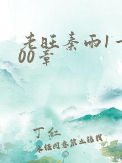 老旺秦雨1一300章