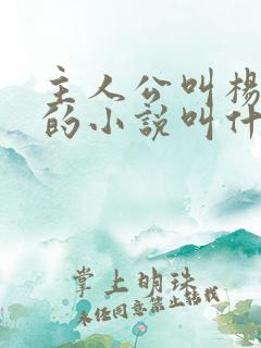 主人公叫杨小天的小说叫什么名字