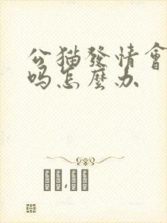 公猫发情会乱尿吗怎么办