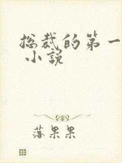 总裁的第一宠妻 小说