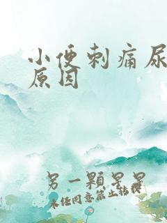 小便刺痛尿频的原因