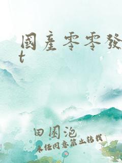 国产零零发txt