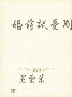 婚前试爱删减