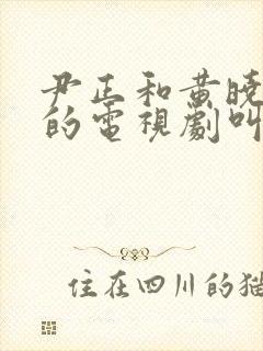 尹正和黄晓明演的电视剧叫什么名字 尹正和黄晓明演的电视剧叫什么名字
