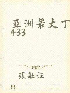 亚洲最大丁香4433