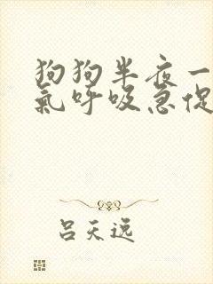 狗狗半夜一直喘气呼吸急促