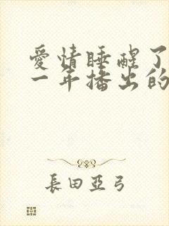 爱情睡醒了是哪一年播出的