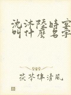 沈沐陆时宴小说叫什么名字啊