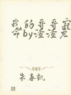 我的哥哥宠妹如命by渣渣兔