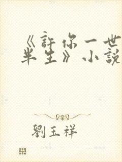 《许你一世却负半生》小说