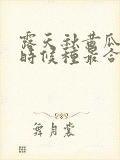 露天秋黄瓜什么时候种最合适