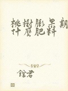 桃树膨果期应冲什么肥料