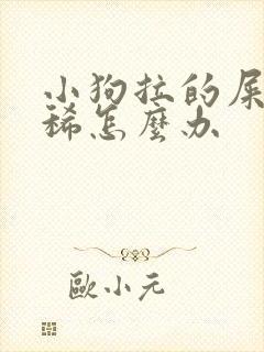 小狗拉的屎有点稀怎么办