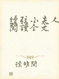 续弦小夫人免费阅读全文