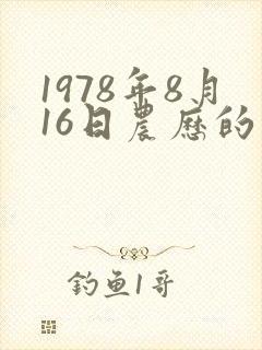 1978年8月16日农历的八字