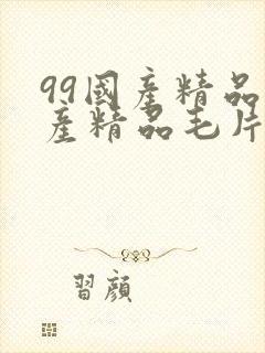 99国产精品国产精品毛片19