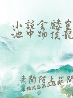 小说金麟岂是物池中物侯龙涛