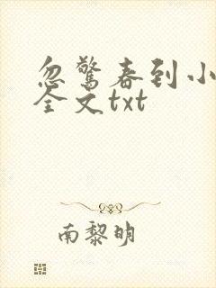 忽惊春到小桃枝全文txt